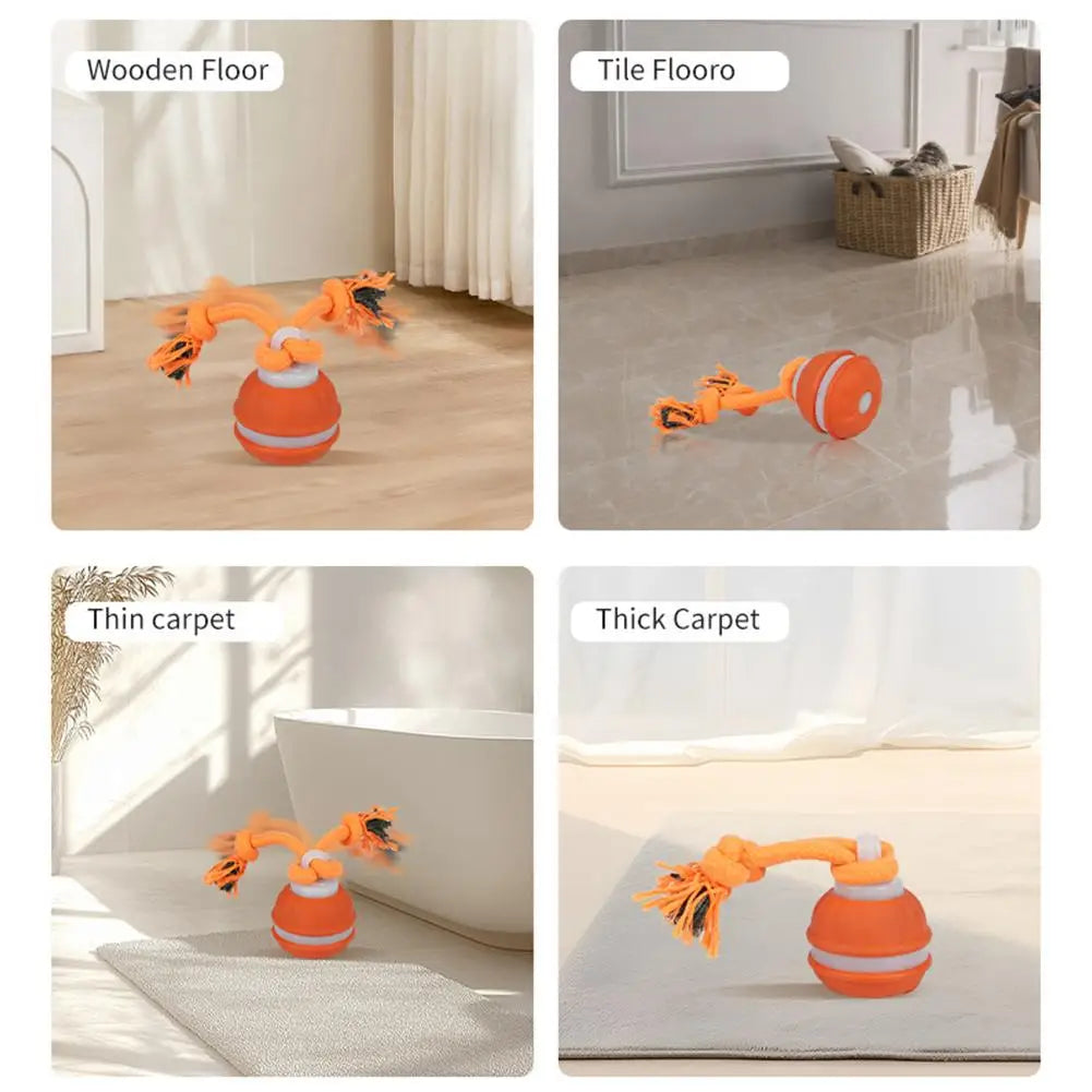 Motion-Activated Interactive Rolling Ball Toy for Dogs & Cats