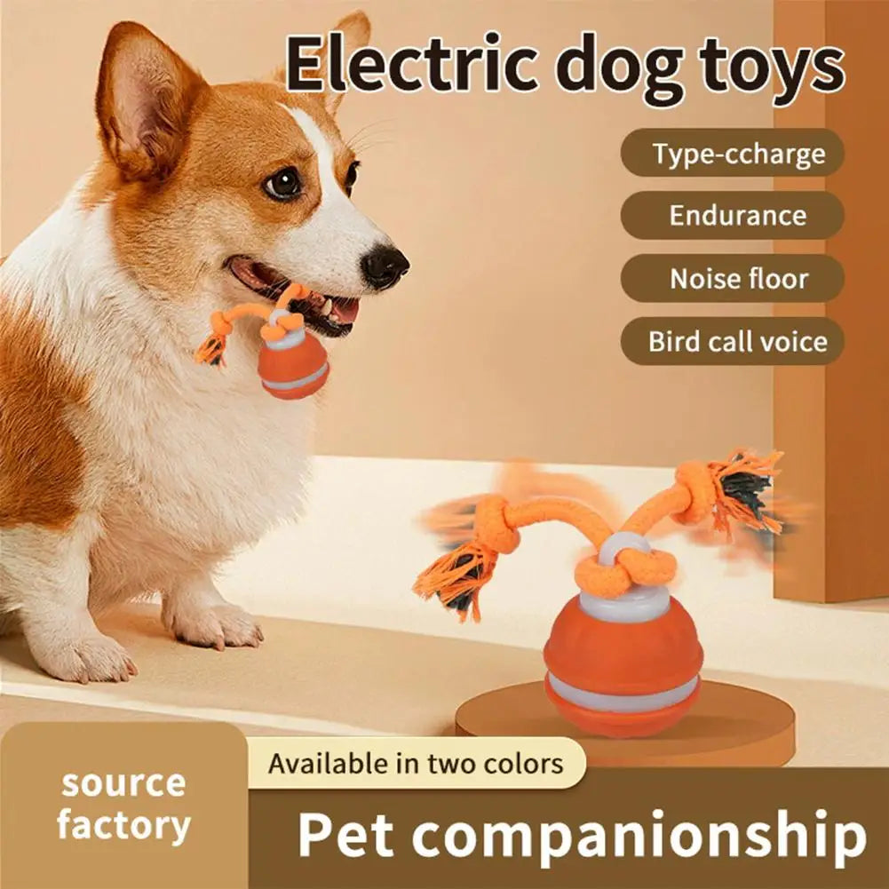 Motion-Activated Interactive Rolling Ball Toy for Dogs & Cats