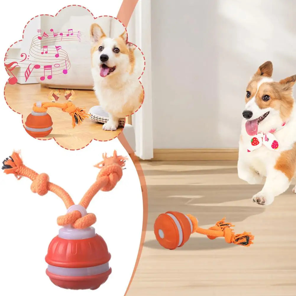 Motion-Activated Interactive Rolling Ball Toy for Dogs & Cats