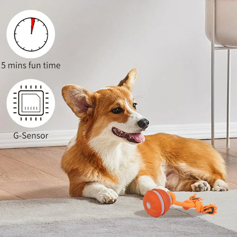 Motion-Activated Interactive Rolling Ball Toy for Dogs & Cats