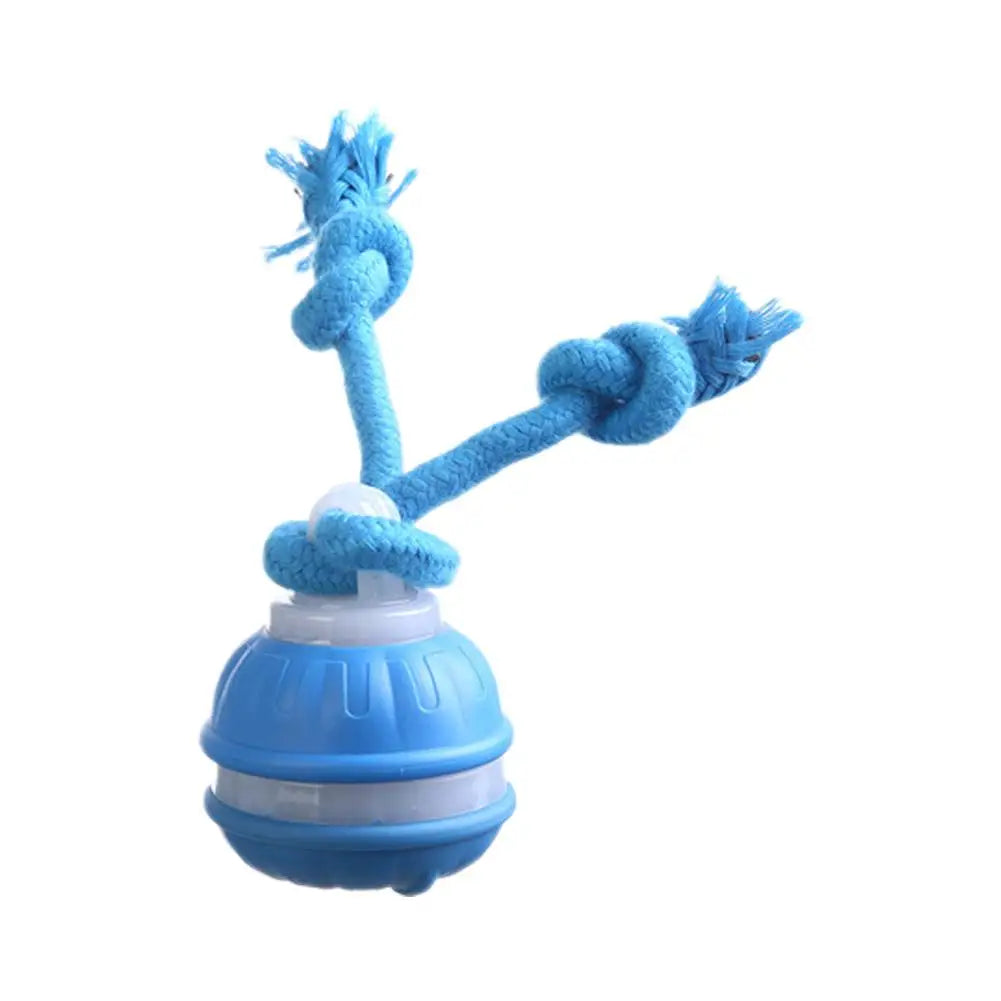 Motion-Activated Interactive Rolling Ball Toy for Dogs & Cats