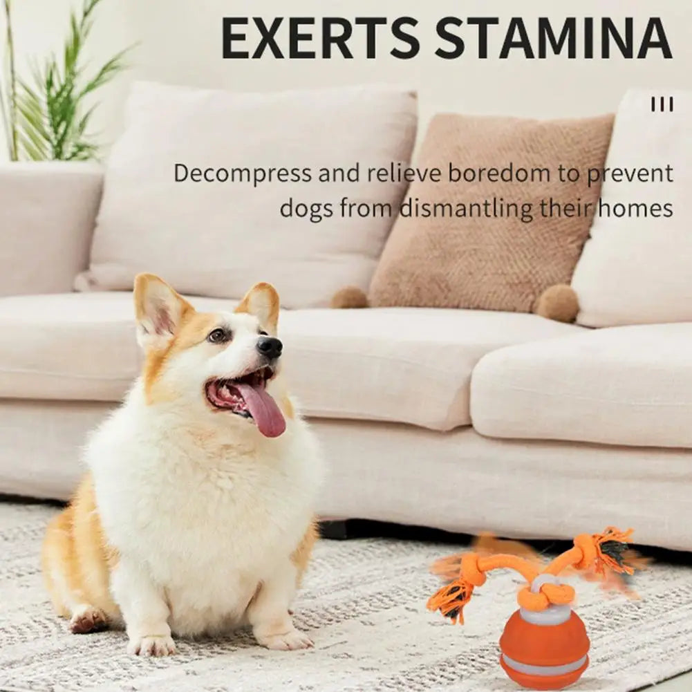 Motion-Activated Interactive Rolling Ball Toy for Dogs & Cats