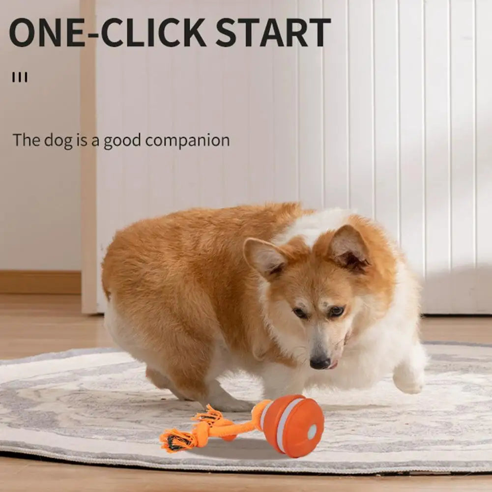 Motion-Activated Interactive Rolling Ball Toy for Dogs & Cats